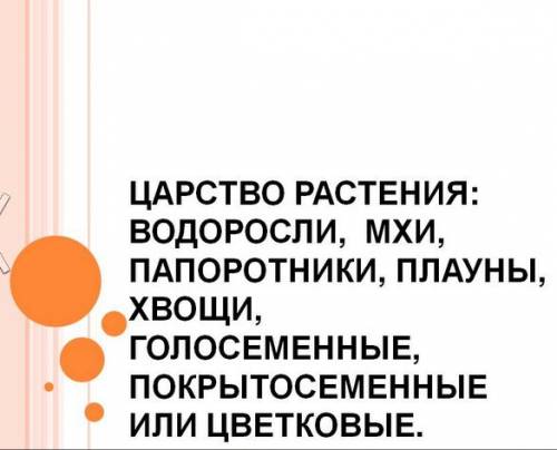 Определите расходы по уплате процентов за пользование кредитом по магазину на планируемый квартал. О