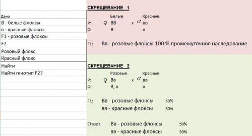 Уфлоксів біле забарвлення квітів визначає геном в, червоне - геном в.гібриди першого покоління мають