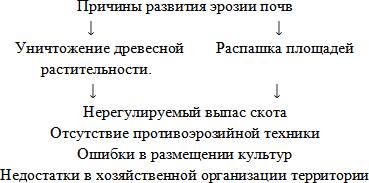 Как предотвратить разрушение почвы? ? !