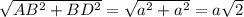 \sqrt{AB^{2}+BD^{2}}=\sqrt{a^{2}+a^{2}}=a\sqrt{2}