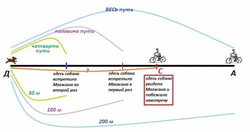 Магжан возвращался домой на велосипеде. собака, сидевшая возле его дома, увидила магжана и побежала 