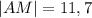 |AM|=11,7