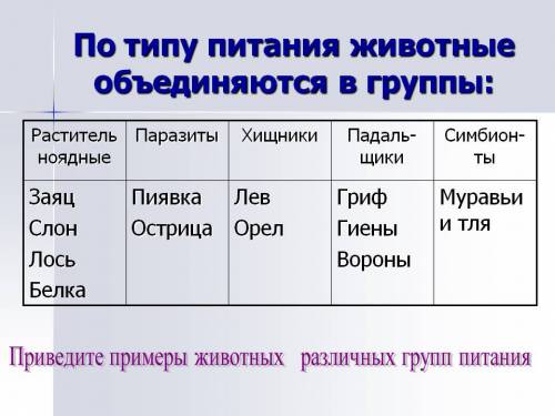 Какие бывают группы животных по типу питания? и их представители