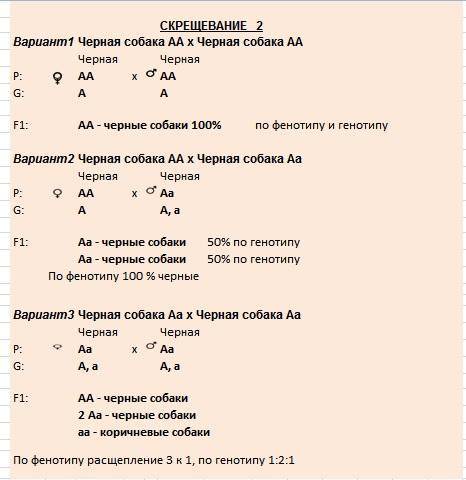 Среди МП для серверов и мощных приложений прочное место завоевали _-процессоры с сокращенной системо