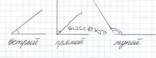 Начертите в тетраде прямой угол и разделите его на глаз биссектрису.как это начертить?