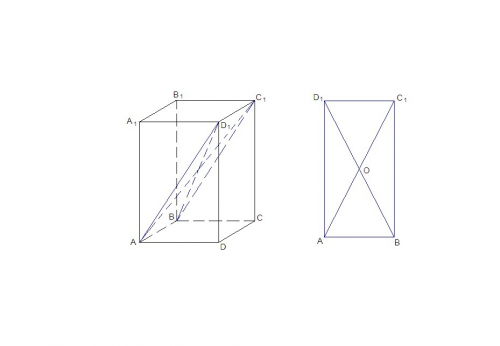 Впараллелепипеде abcda1b1c1d1 сечение, проведённое через рёбра ab и d1c1 являются прямоугольником.bd