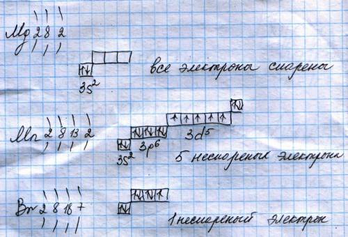 Определите число неспаренных электронов в атомах следующих элементов: а) магния б)марганца в) брома 