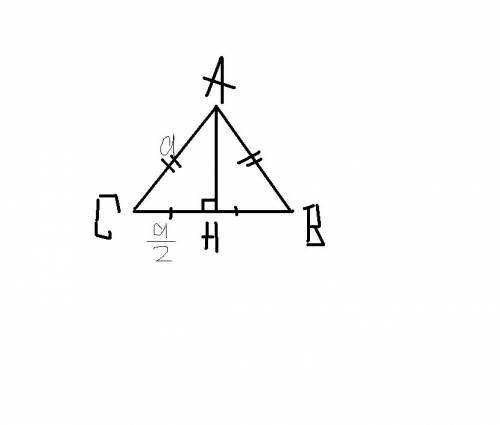 Найдите высоту равностороннего треугольник со стороной a см< < закрытьчитайте также