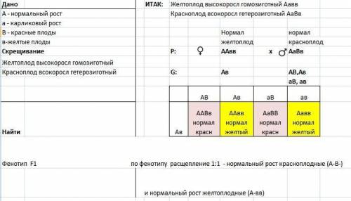 Упомідорів нормальна висота і червоний колір плодів- домінантні ознаки, а карликовість і жовтоплідні