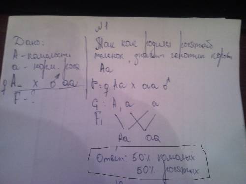 Срешением , потому что при решении у меня есть сомнения, правильно ли я делаю. моногибридное скрещив