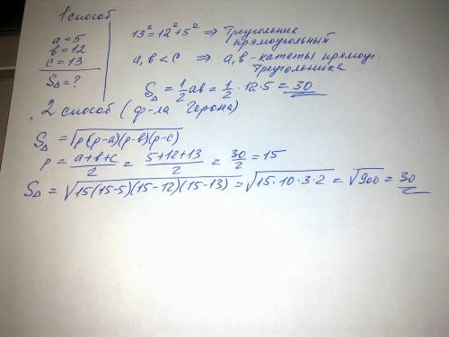 Гринев говорит: «Мне стало жаль ее». По какому поводу он так подумал?