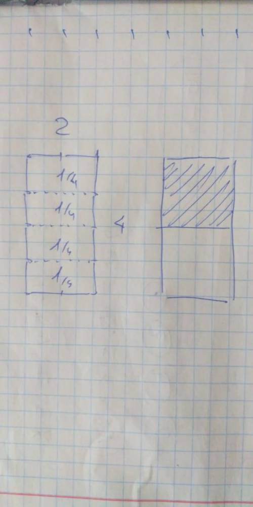 Начерти прямоугольник со сторонами 2 см и 4 см заштрихуй 2/4 площади этого прямоугольника. ​