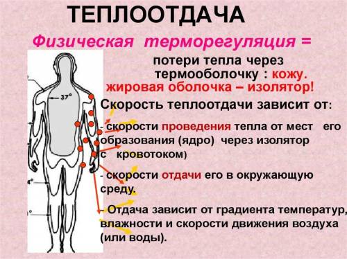 34 , зарание завтра контрольная p.s: схемы нефрона и кожы не нужны