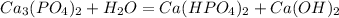 Ca_3(PO_4)_2 + H_2O = Ca(HPO_4)_2 + Ca(OH)_2