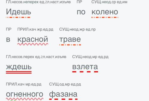 Синтаксический разбор предложения. идешь по колено в красной траве и ждёшь взлёта огненного фазана 3