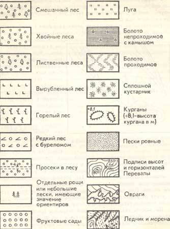 Как выглядит условный знак сосновый