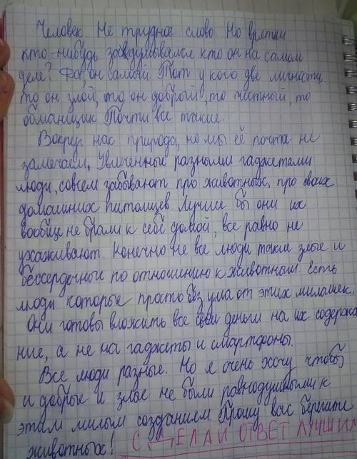 Эссе на тему человек и те кто рядом с ним. т.е питомцы