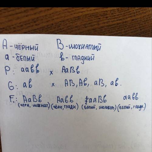 Решить : у кроликов черный мех доминирует над белыми, мохнатая форма меха над гладкой. пр скрещивани