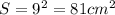 S = 9^{2} = 81 cm^{2}