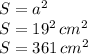 S=a^2\\S=19^2\,cm^2\\S=361\,cm^2