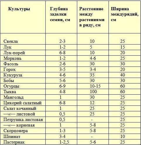 Семена каких культур высевали, в какие сроки, на какую глубину заделывали.! ( )