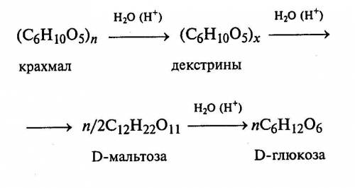 Укажіть кінцевий продукт гідролізу крохмалю