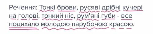 Виконайте повний синтаксичний аналіз реченя за схемою: (нижче фото). речення: тонкі брови, русяві др