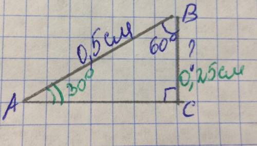 Втрикутнику абс відомо, що кут с=90 градусів, кут в=60 градусів, ав=0,5см. знайти св