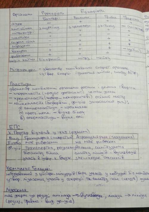 ответе на вопросыкакая функция у следующих какую роль играют они на нашем жизни,коротко и ясно)1 -эн