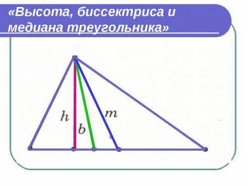 Биссектриса, медиана, высота в одном треугольнике​