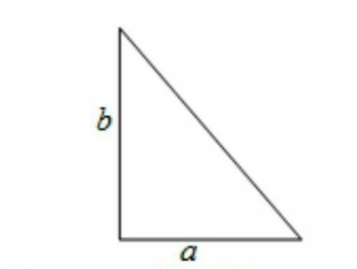 Как вычислить площадь прямоугольного треугольника?