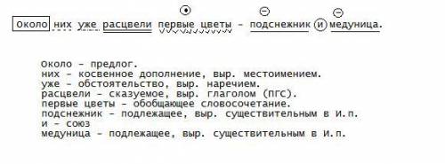 Макс кол-во . около них уже расцвели первые цветы - подснежник и медуница. найти подлежащие и сказуе