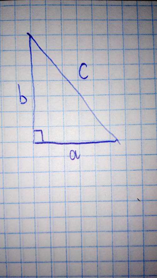 Знайдіт площу прямокутного трикутника за його гіптенузою 25 см і відношенням катетів 3: 4 нужен рису