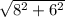 \sqrt{8^{2}+6^{2}}