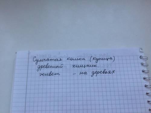 Сумчатая кошка живет: -на деревьях -на эвкалиптовых деревьях -в почве, роет норы -вблизи ручьев и ре