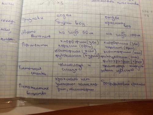 Сделать таблицу! по теме отдел бурые водоросли и отдел красные водоросли, 1 графа-название отдела во