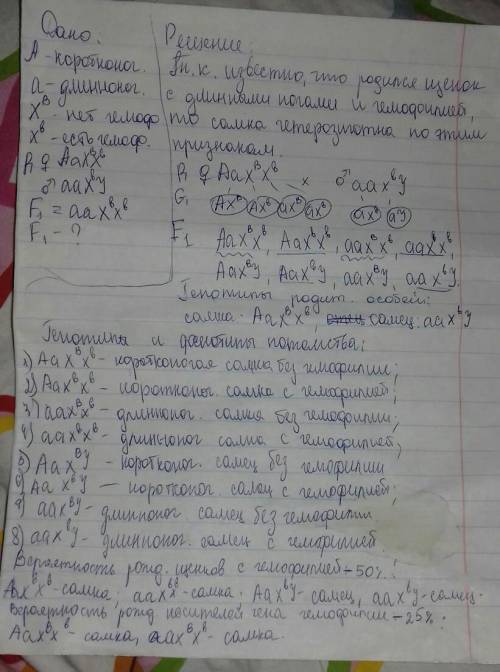 Длинноногость у собак – рецессивный аутосомный признак, а гемофилия сцеплена с х- хромосомой. при ск