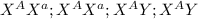 X^{A} X^{a} ; X^{A} X^{a} ; X^{A}Y ; X^{A}Y