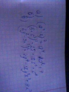 Преобразуйте в многочлен: (по формуле) а) (a^2-2)^2 б) (5+c^3)^2 в) 2y^2-3x^2)^2