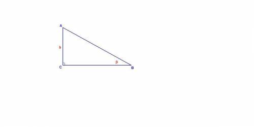Дано: угол с = 90 градусов угол б = бета ac = b найти: неизвестные стороны и углы треугольника abc (