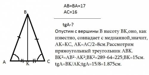 Дан треугольник рабнобедреный авс, ав=17,основание ас=16, найдите тангенс угла а