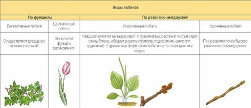 Сделайте таблицу по видоизменению листьев