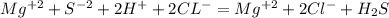 Mg^{+2}+S^{-2}+2H^++2CL^-=Mg^{+2}+2Cl^-+H_2S