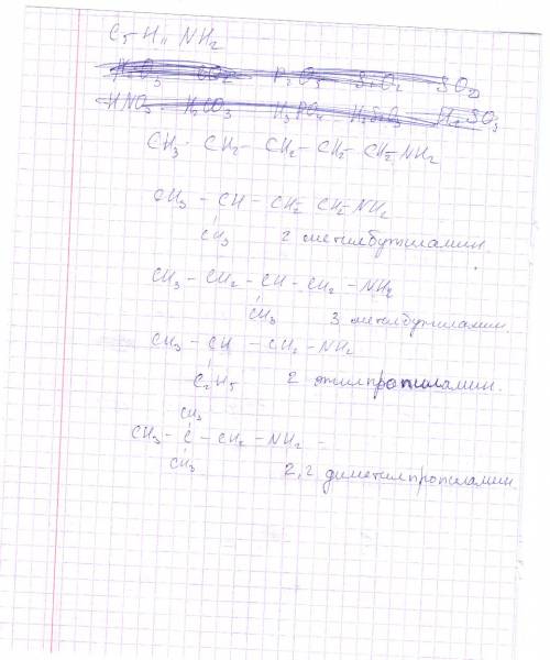 Напишите, все изомеры к веществу c5h11nh2