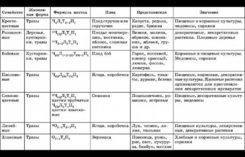 Заполнить таблицу (класс/семейство/представители (3 растения)/формула цветка/тип соцветия/тип плода)