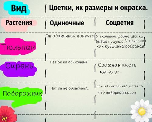 Вид цветки, их размеры и окраска растения одиночныесоцветия тюльпан сирень подорожник заполнить табл