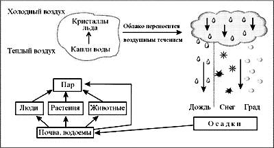 Составте схему круговорота воды в местности ,где ты живёшь. в алатыре. привиди примеры,докаазывающие