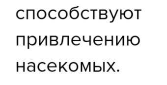 Обратите внимание на цветки раннецветущих деревьев и ку-старников и цветки раннецветущих травянистых