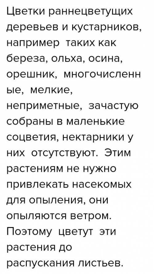 Обратите внимание на цветки раннецветущих деревьев и ку-старников и цветки раннецветущих травянистых