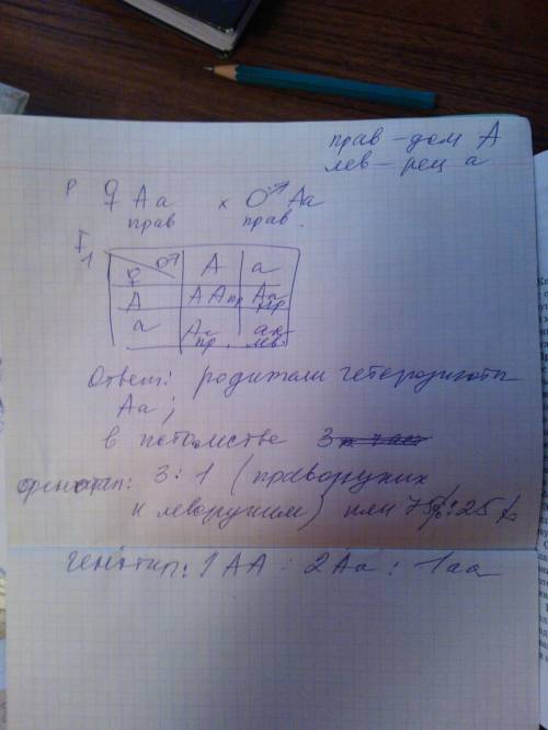 Учеловека праворукость (а) доминирует над леворукостью (а). отец и мать праворукие. обе бабушки лево